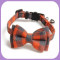 Collar-221